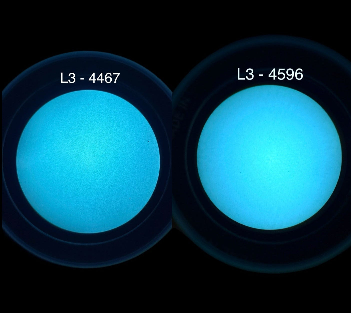 L3_4467_-_4596